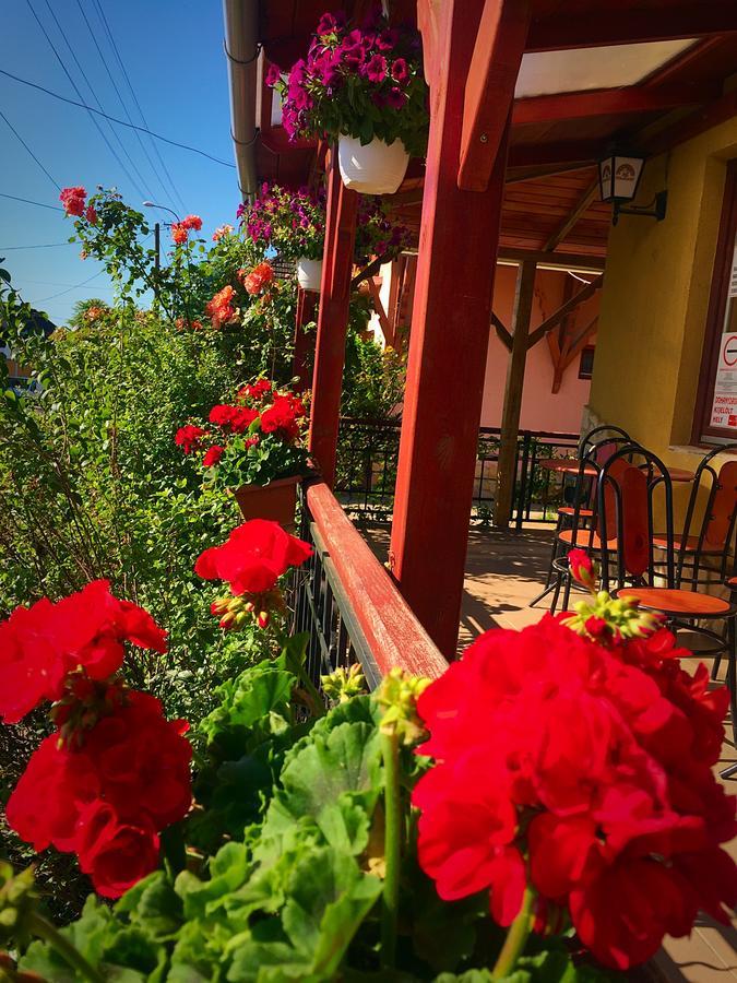 Villa Negra Motel Berzence Exterior photo